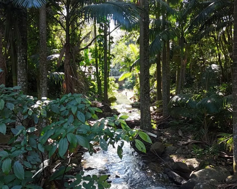 Terreno 38.000 m² à venda — Itacorubi, Florianópolis (SC) — Itacorubi