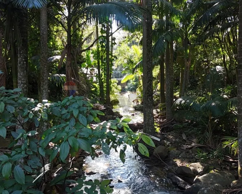 Terreno 38.000 m² à venda — Itacorubi, Florianópolis (SC) — Itacorubi