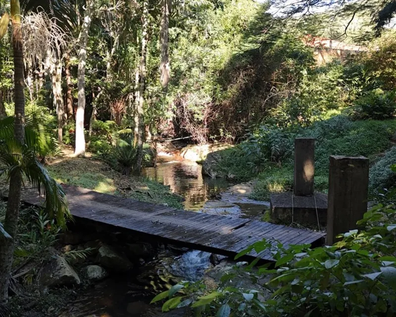 Terreno 38.000 m² en venta — Itacorubi, Florianópolis (SC) — Itacorubi