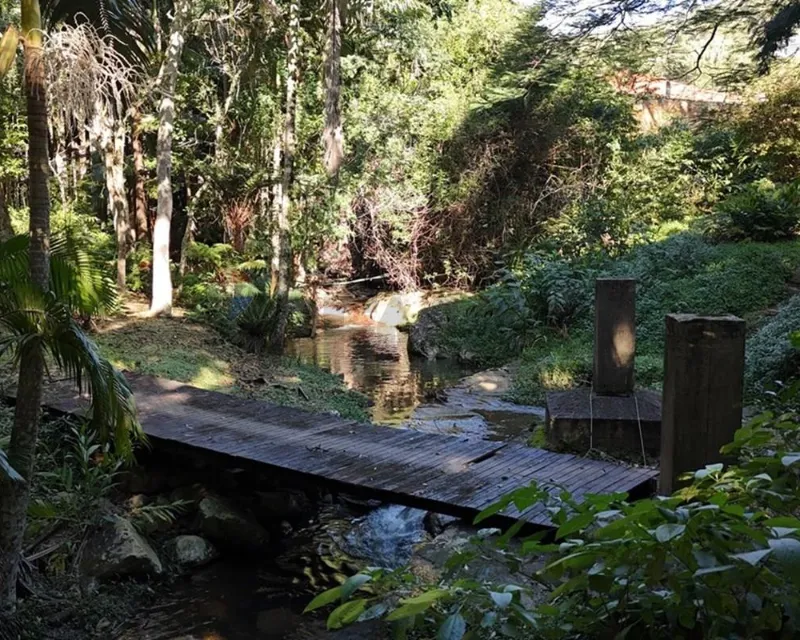 Terreno 38.000 m² à venda — Itacorubi, Florianópolis (SC) — Itacorubi